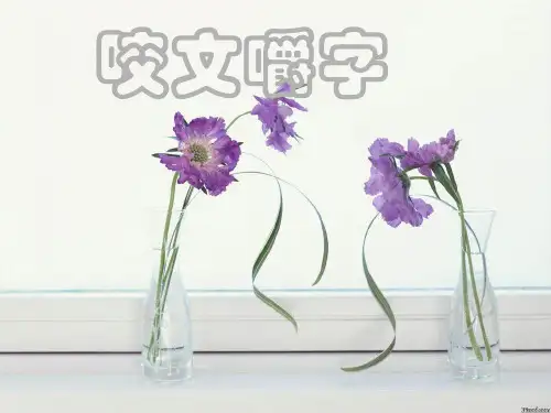 优秀课件《咬文嚼字》ppt