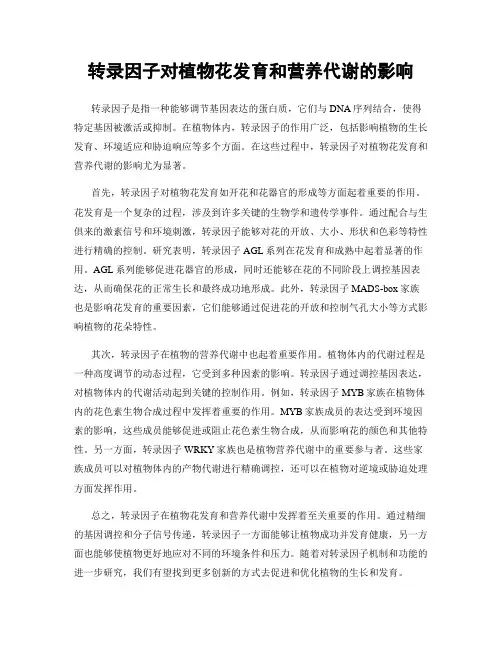 转录因子对植物花发育和营养代谢的影响