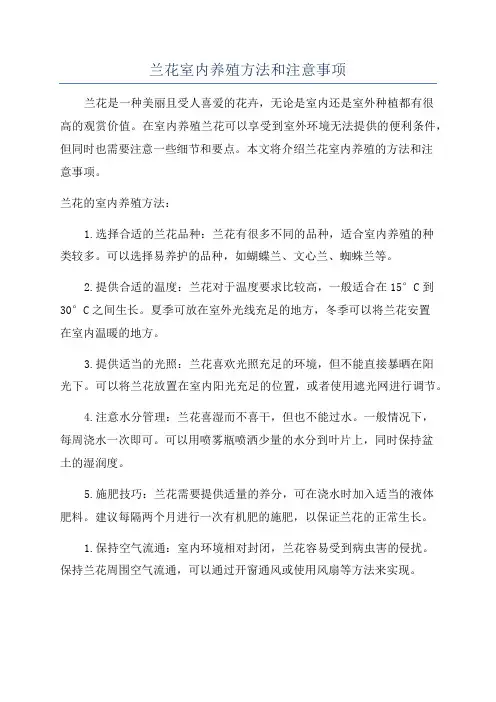 兰花室内养殖方法和注意事项