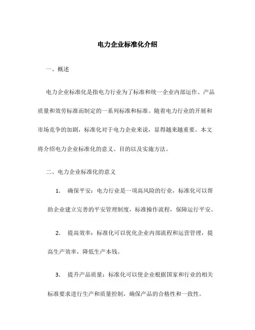 电力企业标准化介绍