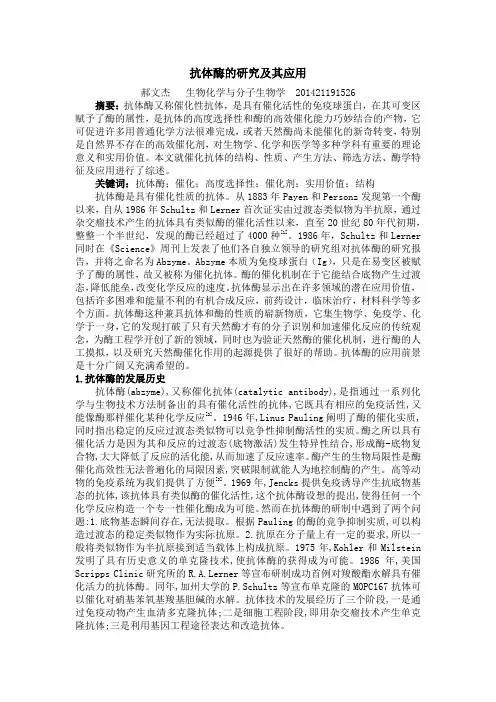 抗体酶的研究及其应用