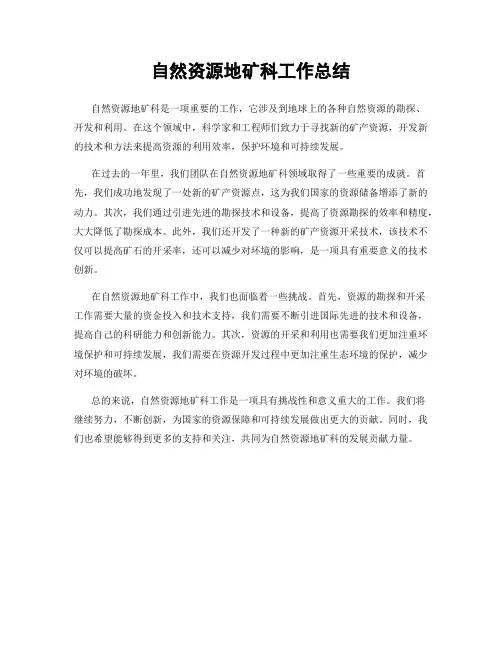 自然资源地矿科工作总结