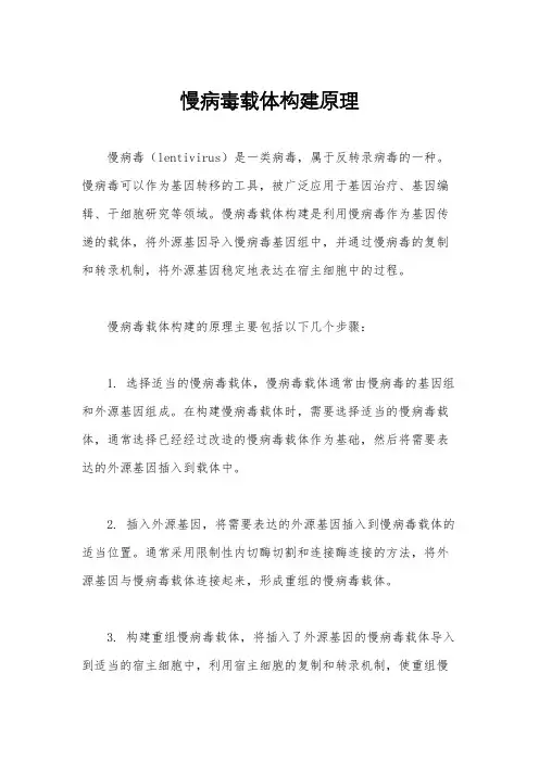 慢病毒载体构建原理