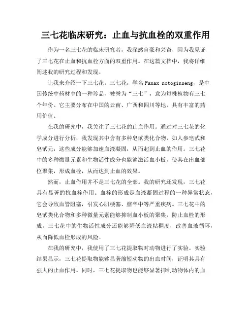 三七花临床研究：止血与抗血栓的双重作用