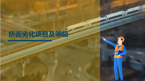 高速铁路桥隧建筑物病害及状态等级评定 桥面劣化项目及等级