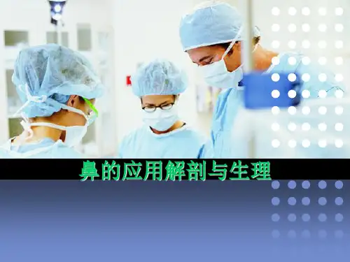 鼻的应用解剖与生理课件