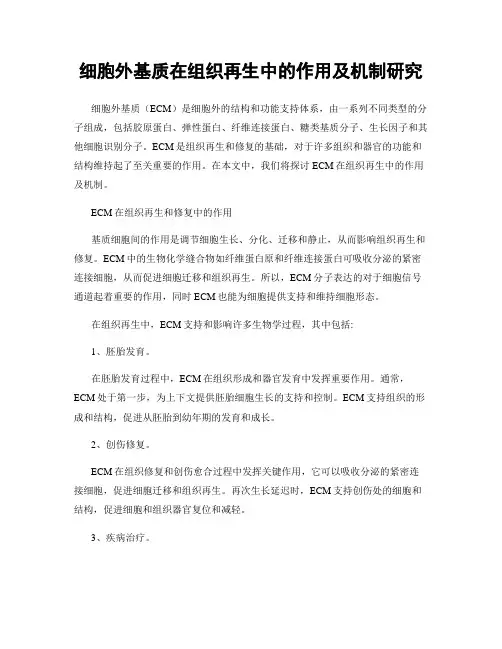 细胞外基质在组织再生中的作用及机制研究