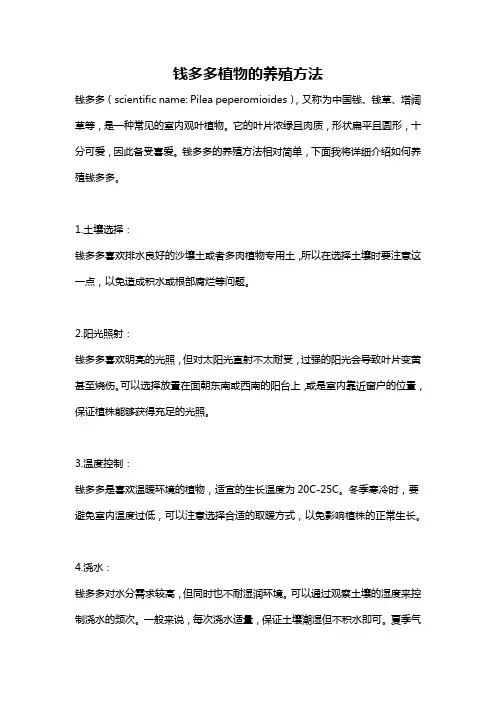 钱多多植物的养殖方法