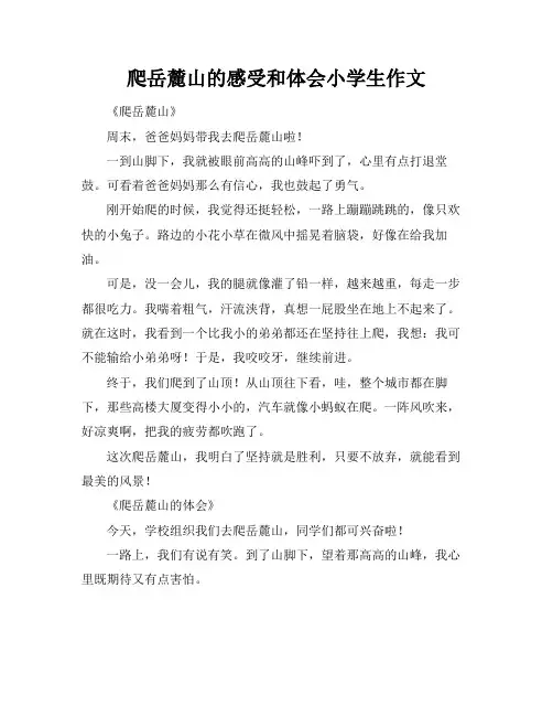 爬岳麓山的感受和体会小学生作文