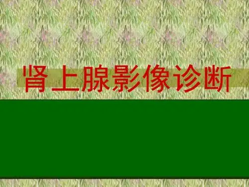 肾上腺影像诊断