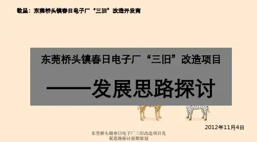 东莞桥头镇春日电子厂三旧改造项目发展思路探讨前期策划