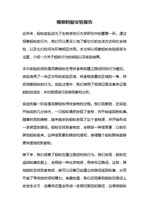 观察蚂蚁实验报告
