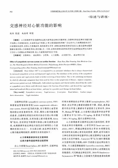 交感神经对心脏功能的影响