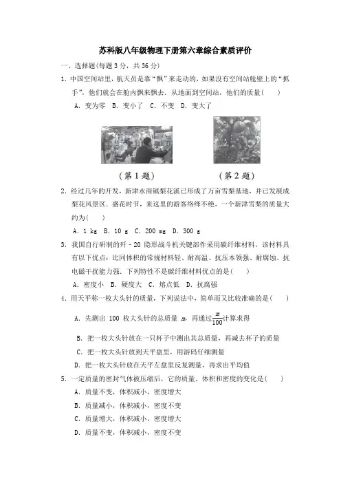 苏科版八年级物理下册第六章综合素质评价 附答案