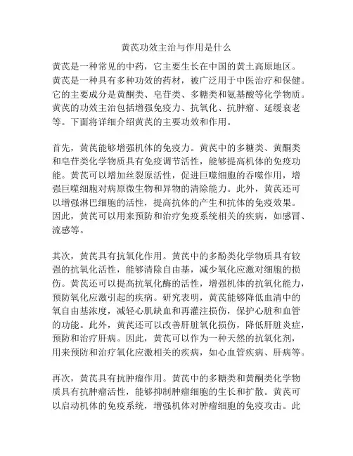 黄芪功效主治与作用是什么