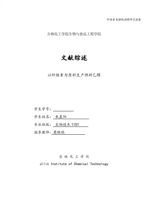 纤维素发酵制酒精研究进展