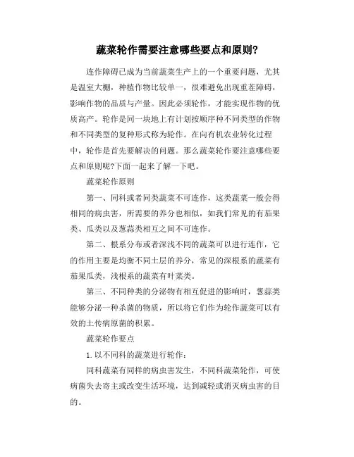 蔬菜轮作需要注意哪些要点和原则-