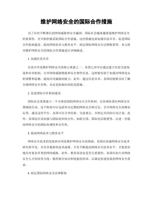 维护网络安全的国际合作措施