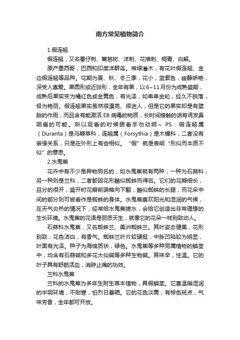 南方常见植物简介