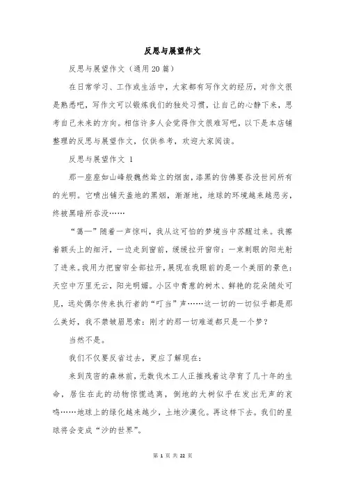 反思与展望作文