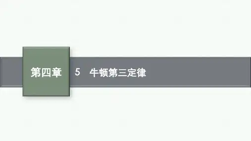 教科版高中物理必修第一册精品课件 第四章 牛顿运动定律 5 牛顿第三定律