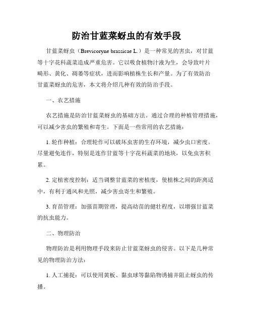 防治甘蓝菜蚜虫的有效手段