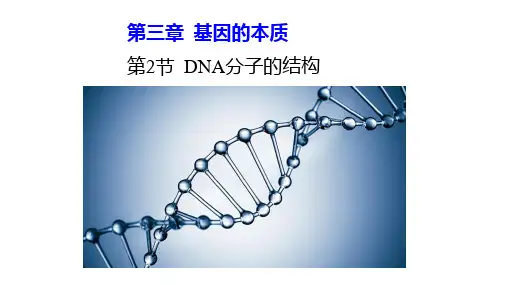 人教版生物必修二第三章第二节-DNA分子的结构(非常全面)