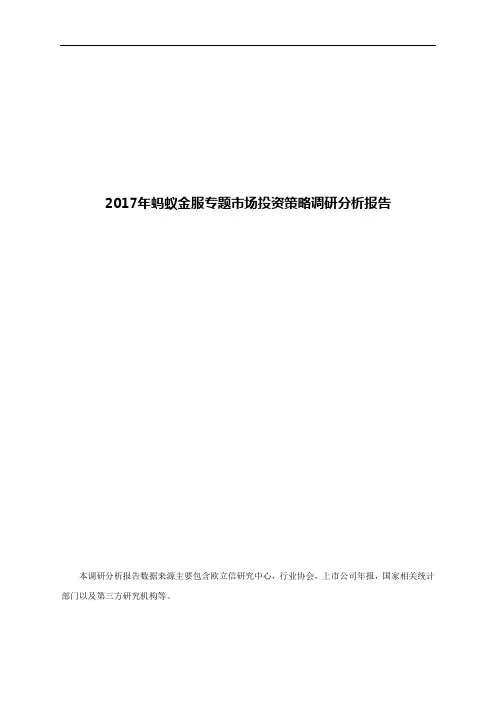 2017年蚂蚁金服专题市场投资策略调研分析报告