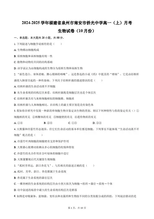 2024-2025学年福建省泉州市南安市侨光中学高一(上)月考生物学试卷(10月份)(含答案)