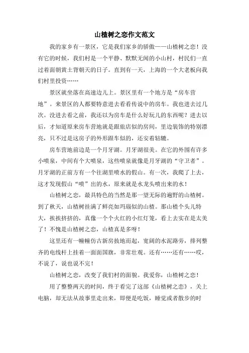 山楂树之恋作文范文