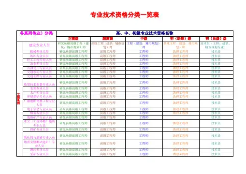 全国专业技术资格分类一览表