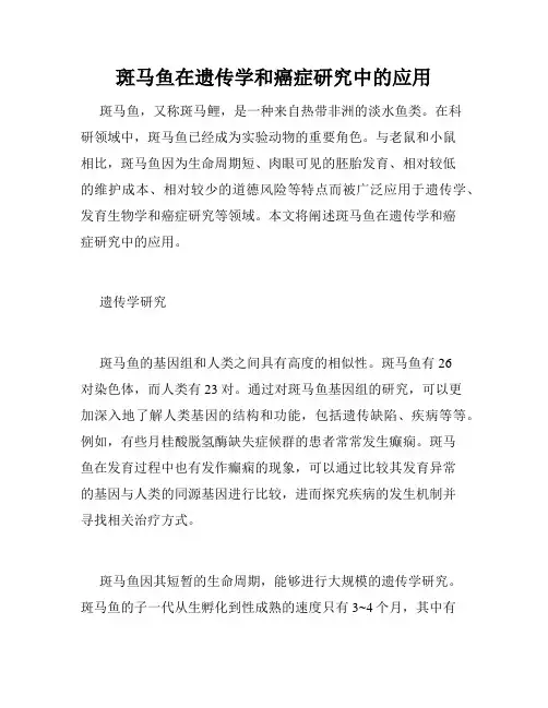 斑马鱼在遗传学和癌症研究中的应用
