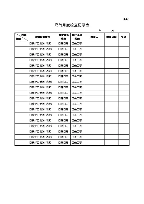 燃气月度检查记录表