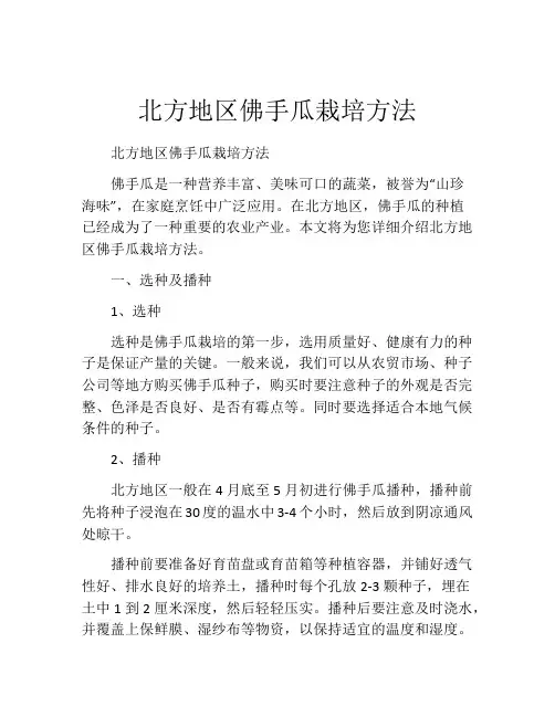 北方地区佛手瓜栽培方法