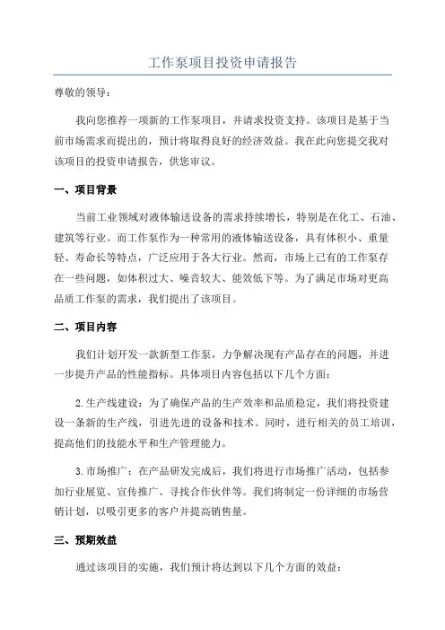 工作泵项目投资申请报告