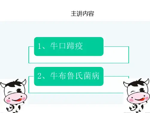 牛口蹄疫牛布鲁氏菌病