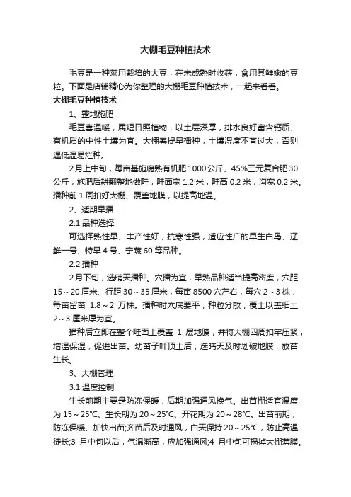 大棚毛豆种植技术