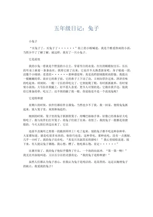 小学作文 五年级日记：兔子-精品