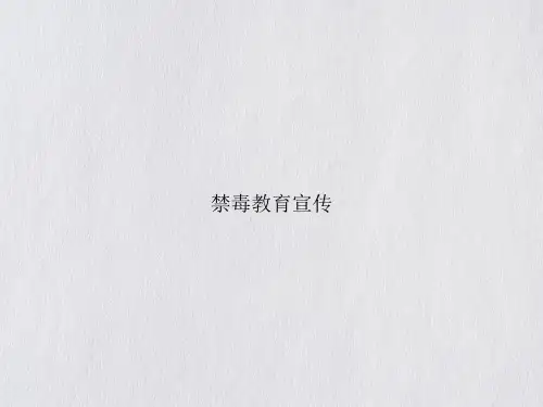 禁毒教育宣传ppt课件