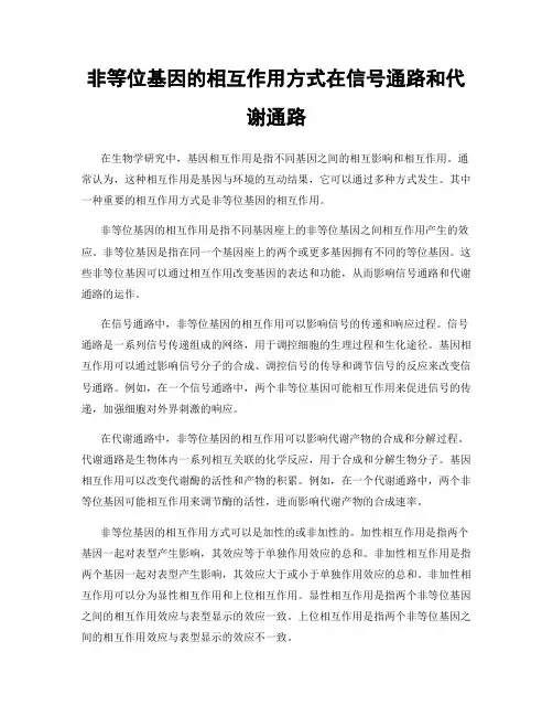 非等位基因的相互作用方式在信号通路和代谢通路