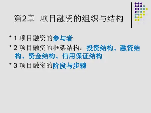 第三讲：项目融资的组织与结构