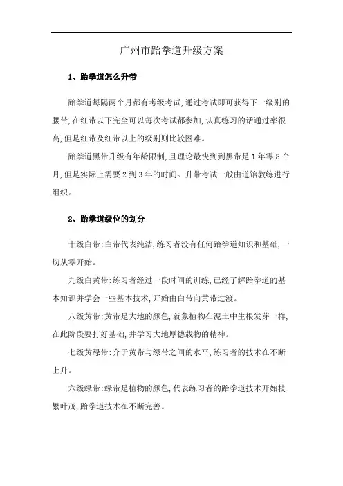 广州市跆拳道升级方案
