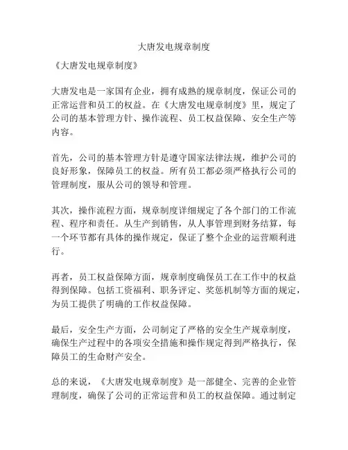 大唐发电规章制度