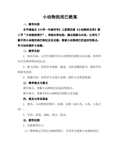 小动物找尾巴教案