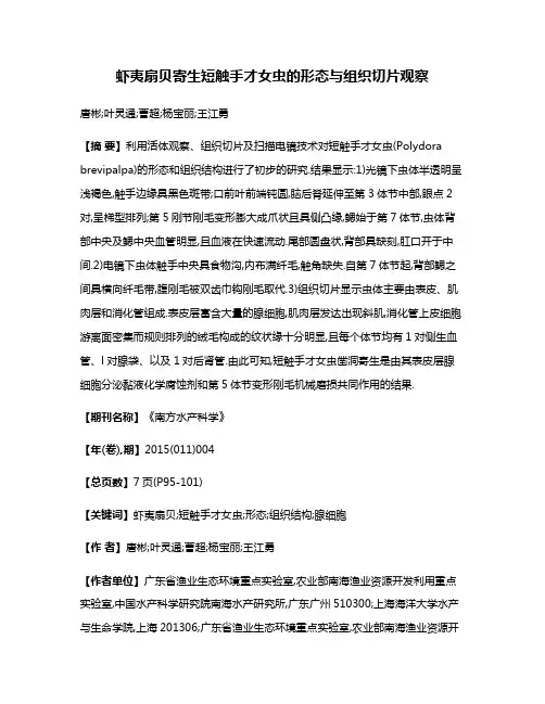 虾夷扇贝寄生短触手才女虫的形态与组织切片观察