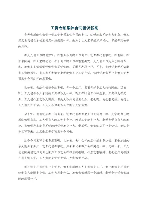 工资专项集体合同情况说明