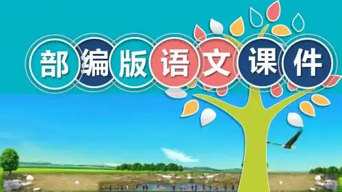 统编版【教育部编写】五年级上册语文课件-5 搭石人教(部编版) (共56张PPT)