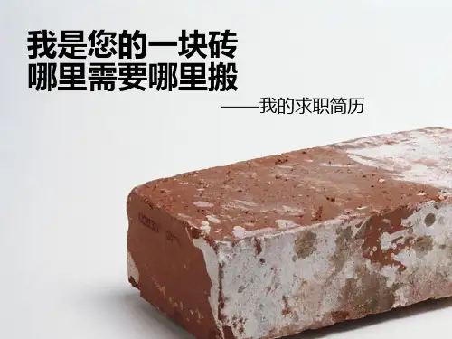 求职简历ppt模板3
