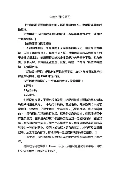 自组织理论概览