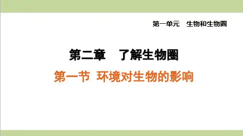 鲁科版五四制六年级上册生物 1.2.1 环境对生物的影响 课后习题练习复习课件